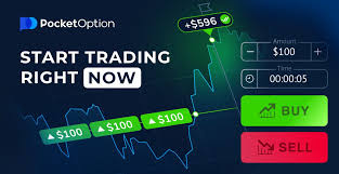 Everything You Need to Know About Trading on Pocket Option RU