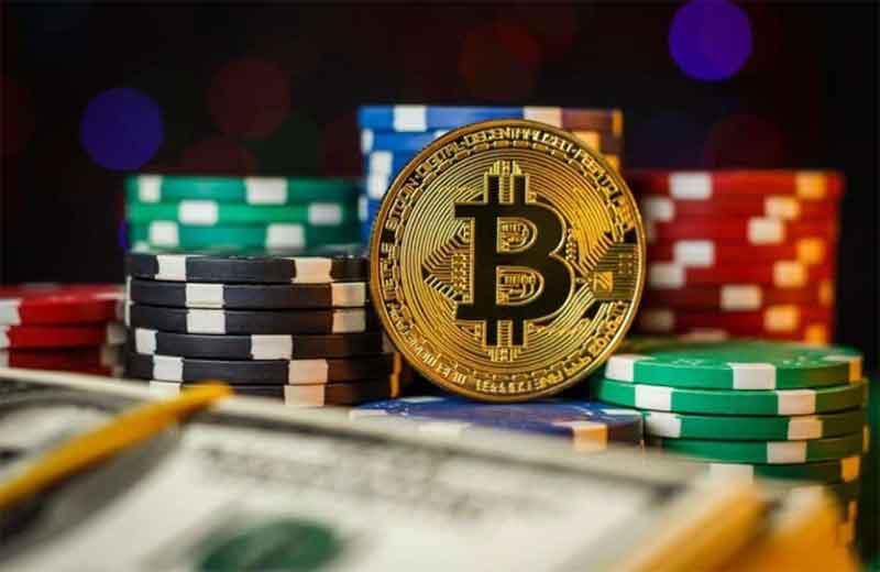 Discover the Best Crypto Casinos With Bonus for Enthusiasts Discover the Best Crypto Casinos With Bonus for Enthusiasts
