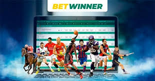 Understanding BetWinner Support Understanding BetWinner Support
